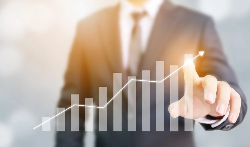 Is Franchising Organic Growth New Zealand