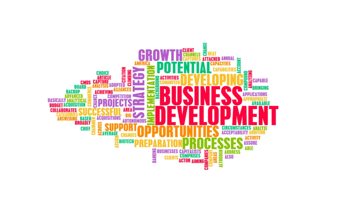 How To Approach The Franchise Development Process New Zealand